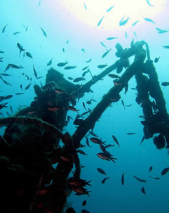 Bajio Fishing Glasses at Sante Marine